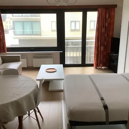 Appartement Zongerichte Sint-idesbald Met Mooi Zeezicht